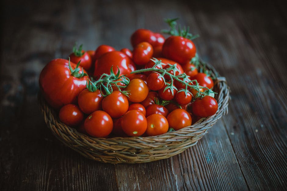 Tomates rouges bien mûres dans un panier